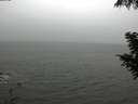 ./images/koeye/fitz-hugh/20200901/fitz-hugh20200901_132002.jpg