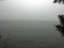 ./images/koeye/fitz-hugh/20200901/fitz-hugh20200901_133502.jpg