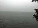./images/koeye/fitz-hugh/20200901/fitz-hugh20200901_134502.jpg