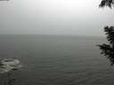 ./images/koeye/fitz-hugh/20200901/fitz-hugh20200901_135001.jpg