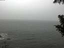 ./images/koeye/fitz-hugh/20200901/fitz-hugh20200901_135501.jpg