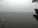 ./images/koeye/fitz-hugh/20200901/fitz-hugh20200901_142001.jpg