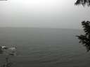 ./images/koeye/fitz-hugh/20200901/fitz-hugh20200901_143501.jpg