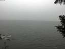 ./images/koeye/fitz-hugh/20200901/fitz-hugh20200901_144501.jpg