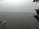 ./images/koeye/fitz-hugh/20200901/fitz-hugh20200901_145001.jpg