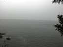 ./images/koeye/fitz-hugh/20200901/fitz-hugh20200901_152501.jpg