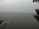 ./images/koeye/fitz-hugh/20200901/fitz-hugh20200901_154501.jpg