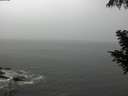 ./images/koeye/fitz-hugh/20200901/fitz-hugh20200901_155002.jpg