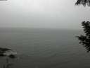 ./images/koeye/fitz-hugh/20200901/fitz-hugh20200901_155502.jpg
