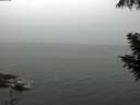 ./images/koeye/fitz-hugh/20200901/fitz-hugh20200901_160002.jpg