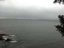 ./images/koeye/fitz-hugh/20200901/fitz-hugh20200901_162502.jpg