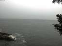 ./images/koeye/fitz-hugh/20200901/fitz-hugh20200901_170501.jpg