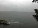 ./images/koeye/fitz-hugh/20200901/fitz-hugh20200901_172001.jpg