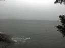 ./images/koeye/fitz-hugh/20200901/fitz-hugh20200901_172501.jpg