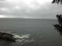./images/koeye/fitz-hugh/20200901/fitz-hugh20200901_173501.jpg
