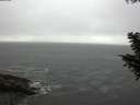 ./images/koeye/fitz-hugh/20200901/fitz-hugh20200901_175501.jpg