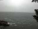 ./images/koeye/fitz-hugh/20200901/fitz-hugh20200901_180001.jpg