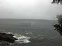 ./images/koeye/fitz-hugh/20200901/fitz-hugh20200901_182501.jpg