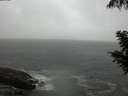 ./images/koeye/fitz-hugh/20200901/fitz-hugh20200901_183501.jpg