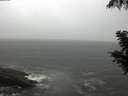 ./images/koeye/fitz-hugh/20200901/fitz-hugh20200901_184001.jpg