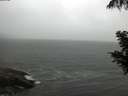 ./images/koeye/fitz-hugh/20200901/fitz-hugh20200901_185502.jpg