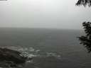 ./images/koeye/fitz-hugh/20200901/fitz-hugh20200901_195502.jpg