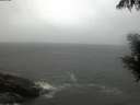 ./images/koeye/fitz-hugh/20200901/fitz-hugh20200901_202001.jpg