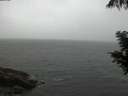 ./images/koeye/fitz-hugh/20200901/fitz-hugh20200901_202501.jpg