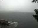 ./images/koeye/fitz-hugh/20200901/fitz-hugh20200901_203501.jpg