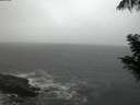 ./images/koeye/fitz-hugh/20200901/fitz-hugh20200901_204001.jpg