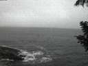 ./images/koeye/fitz-hugh/20200901/fitz-hugh20200901_204501.jpg