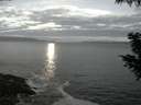 ./images/koeye/fitz-hugh/20200902/fitz-hugh20200902_060501.jpg