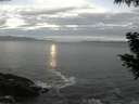 ./images/koeye/fitz-hugh/20200902/fitz-hugh20200902_061001.jpg
