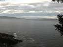 ./images/koeye/fitz-hugh/20200902/fitz-hugh20200902_061501.jpg