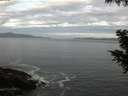 ./images/koeye/fitz-hugh/20200902/fitz-hugh20200902_062001.jpg