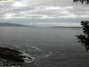 ./images/koeye/fitz-hugh/20200902/fitz-hugh20200902_062501.jpg
