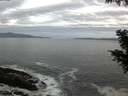 ./images/koeye/fitz-hugh/20200902/fitz-hugh20200902_063501.jpg