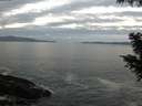 ./images/koeye/fitz-hugh/20200902/fitz-hugh20200902_064001.jpg