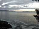 ./images/koeye/fitz-hugh/20200902/fitz-hugh20200902_065501.jpg