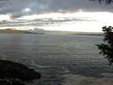 ./images/koeye/fitz-hugh/20200902/fitz-hugh20200902_071502.jpg