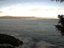 ./images/koeye/fitz-hugh/20200902/fitz-hugh20200902_073502.jpg