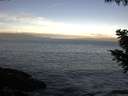 ./images/koeye/fitz-hugh/20200902/fitz-hugh20200902_080002.jpg