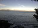./images/koeye/fitz-hugh/20200902/fitz-hugh20200902_082501.jpg