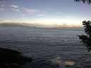 ./images/koeye/fitz-hugh/20200902/fitz-hugh20200902_085001.jpg