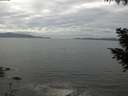 ./images/koeye/fitz-hugh/20200902/fitz-hugh20200902_130502.jpg