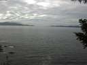 ./images/koeye/fitz-hugh/20200902/fitz-hugh20200902_132002.jpg