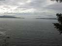 ./images/koeye/fitz-hugh/20200902/fitz-hugh20200902_132502.jpg