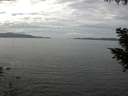 ./images/koeye/fitz-hugh/20200902/fitz-hugh20200902_133502.jpg