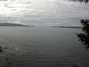 ./images/koeye/fitz-hugh/20200902/fitz-hugh20200902_134002.jpg