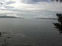 ./images/koeye/fitz-hugh/20200902/fitz-hugh20200902_134502.jpg
